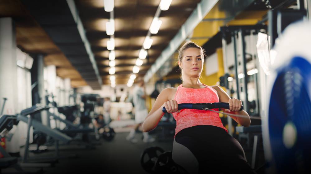 Building The Engine: Master The Circuit and Embrace the Burn