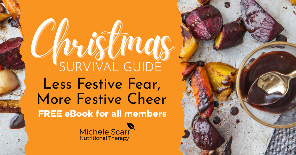 Grab Your 'Christmas Survival Guide' eBook For FREE