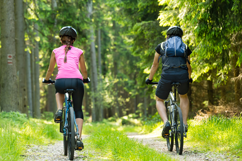 People cycling in the forest