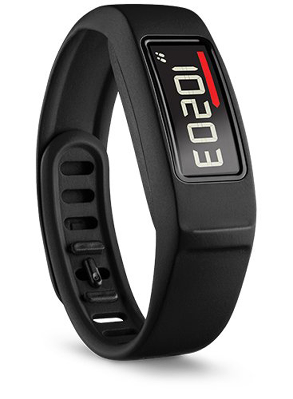 Garmin Vivofit2