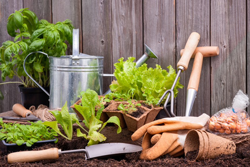 A few garden tools