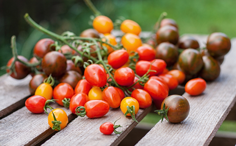 Different types of tomatoes