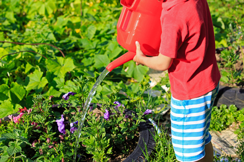 Gardening