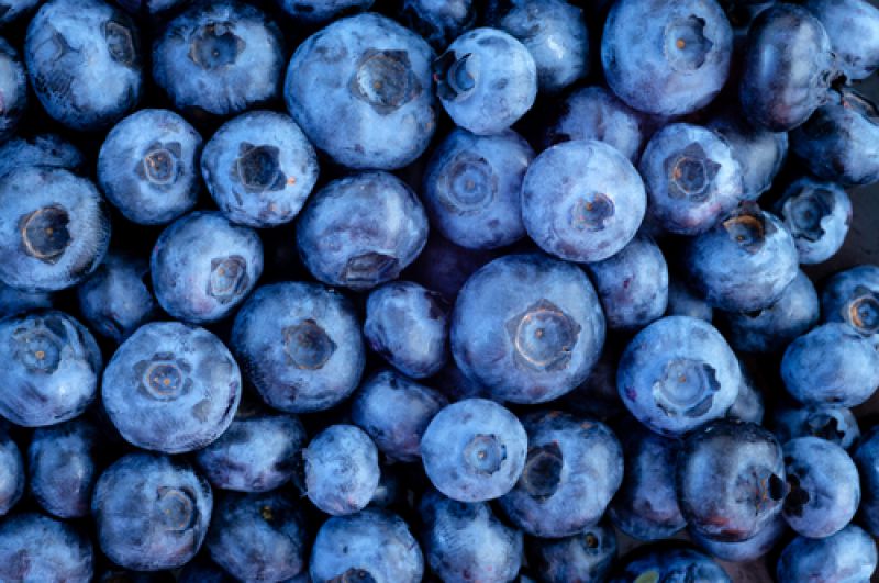 Blueberries and Cocoa Nibs